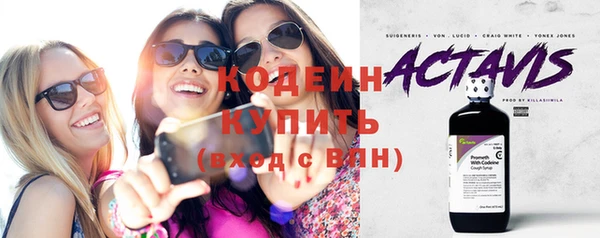 индика Гусиноозёрск