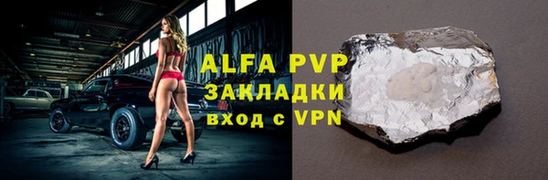 индика Гусиноозёрск