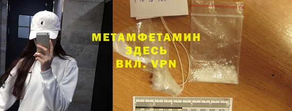 прущие грибы Горно-Алтайск