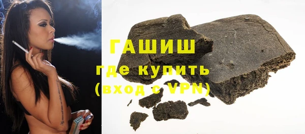 прущие грибы Горно-Алтайск