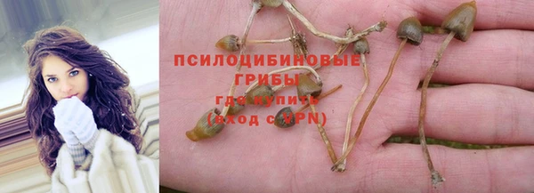 бошки Гусев