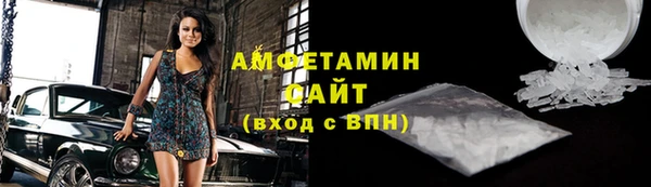 прущие грибы Горно-Алтайск