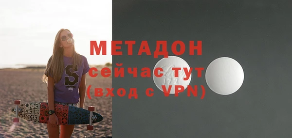 прущие грибы Горно-Алтайск