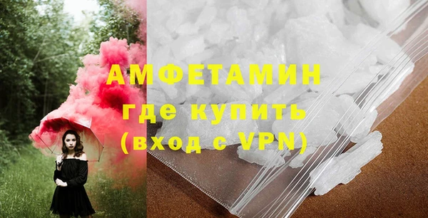 прущие грибы Горно-Алтайск