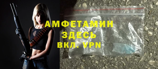 прущие грибы Горно-Алтайск