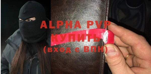 прущие грибы Горно-Алтайск