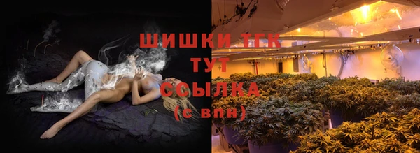 прущие грибы Горно-Алтайск