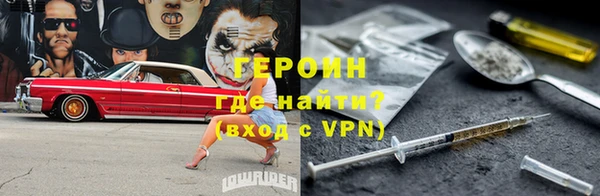 прущие грибы Горно-Алтайск