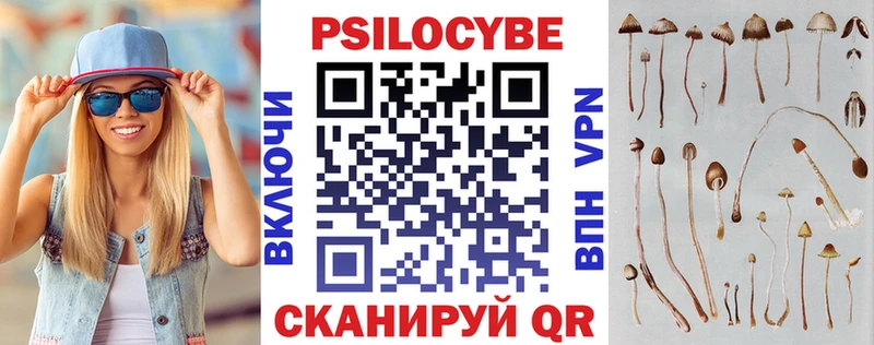 Псилоцибиновые грибы Cubensis  наркотики  ОМГ ОМГ   Питкяранта 